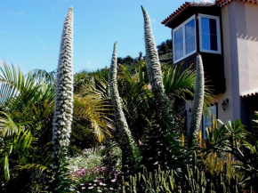 Apartamento MAR Y TEIDE